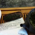 Test de thé #71 : thé vert japonais Kama-iri cha, cultivar Minami-sayaka, préfecture de Miyasaki de Thés du Japon