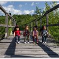 Promenade dans le marais, vie des bernaches et œufs de tortues - Walk in the marsh, life of geese and turtle eggs