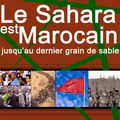 Le Maroc veille à réunir l'ensemble des conditions de stabilité et de développement dans les provinces du sud