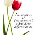 La sagesse...