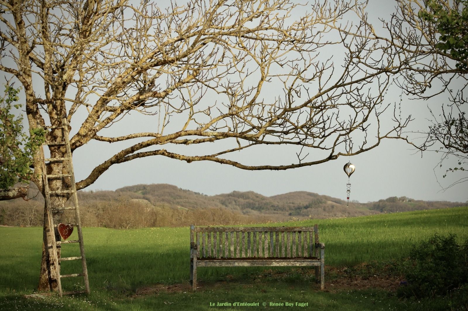 Jardin d'Entéoulet (Photo Renée Boy Faget)