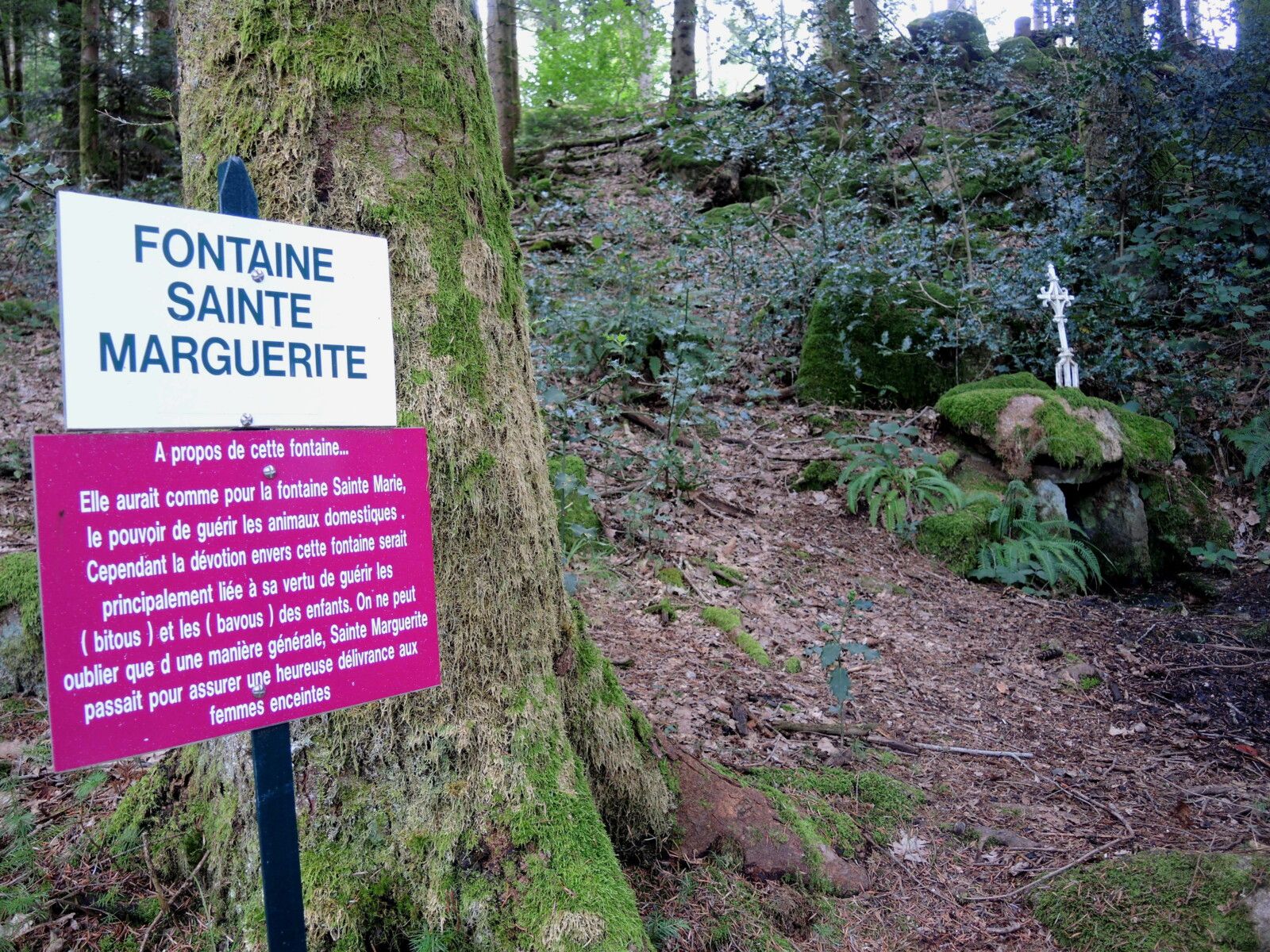 Corancy, fontaine Sainte Marguerite, panneau (58)