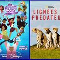 Disney+ : L'Actu du mois de Février ! 