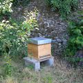 Arrivage des Bees !