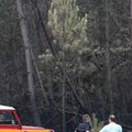 Prévention feux de forêt