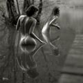 “Plus une eau est pure, moins elle a de poissons.” Proverbe chinois