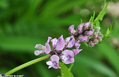 Comment faire facilement des économies au jardin ?