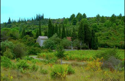 Le Temps des Olives et Notre Dame de l'Olive 