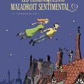 Les Chroniques d'un maladroit sentimental T1/Scé/ Vincent Zabus Dessinateur Daniel Casanave:Coloriste Patrice Larcenet