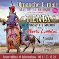 Tienta au mas de la Bélugue (13) avec Alberto Lamelas