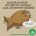 Farines animales : le retour :(