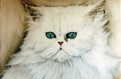 Portrait de chat blanc
