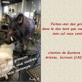 Images-citations