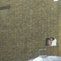 Brick Lane #2 - London