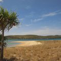 Flinders Island, et la déception ….