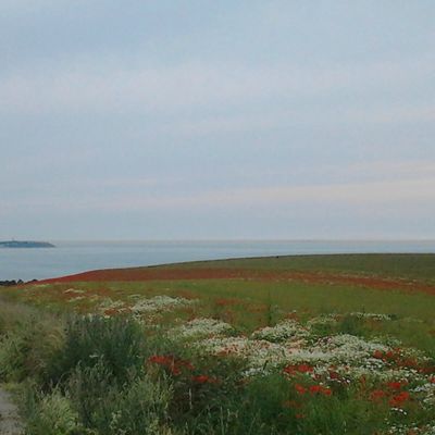 16 juillet vers 18h30, une balade comme je les aime....