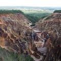 Le grand canyon Lemurien de mada Zébu Beto avec