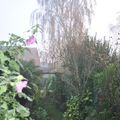 le jardin et le brouillard
