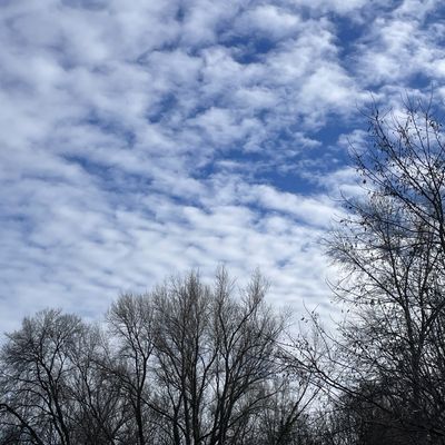 Vendredi 30 Janvier 2026