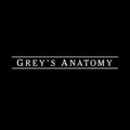 Grey's Anatomy [Saison 8]