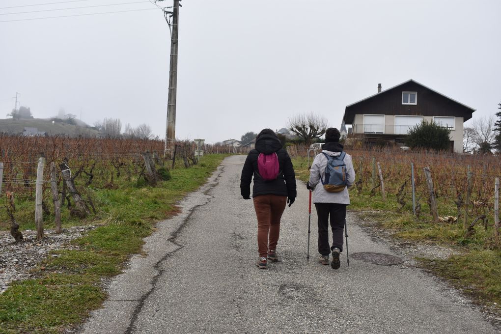 Balade dans les vignes de Chignin (73)