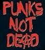 PUNKS NOT DEADVIVES LES PUNKS !!!!!!et la biéres