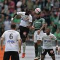 Le carnet de notes des verts: AS Saint-Etienne-Amiens SC