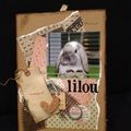 Album cartonné Lilou