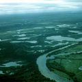 le Pantanal