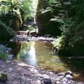 L'OR DE LA RIVIERE DORDOGNE, et SES AFFLUENTS .. (63-15 PUY DE DOME-CANTAL)