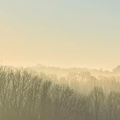 Le soleil repousse les nuages.......Pourvu que ça dure!
