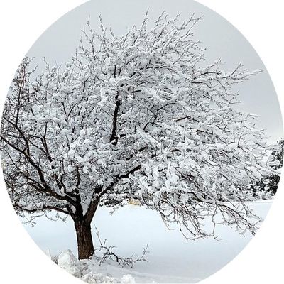 Photo du mois, décembre