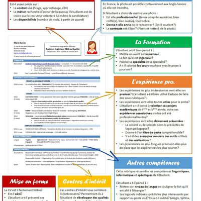 Infographie : Décrypter un CV