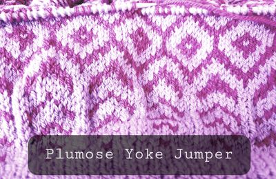 Sur les aiguilles #1 : Plumose Yoke Jumper.
