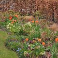 Tulipa, Helleborus, Muscari, Chionodoxa. Mars