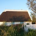 01 - Maison Camarguaise