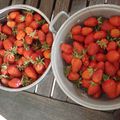 Charlotte aux fraises de Mikit
