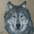 Loup gris à l'acrylique 