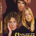 Sortie DVD : Shampoo la comédie décoiffante du méconnu Hal Ashby 