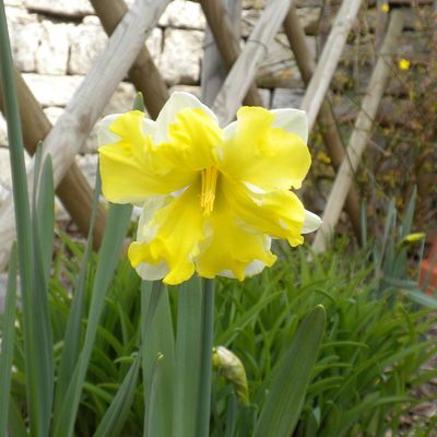C'est le printemps