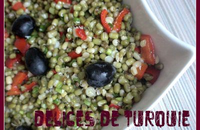 Salade de Haricots Mungo - Maş fasulyesi salatası