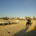 Hammamet ... au petit trot.