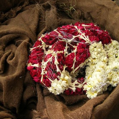 Paradoxe + Laurence Salomon