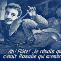 Rôle des animaux dans la Grande Guerre