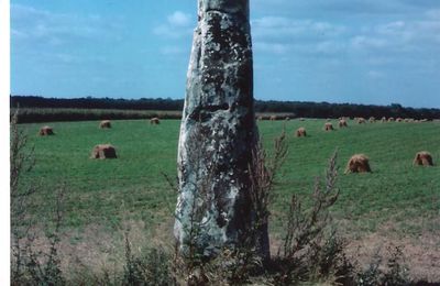 Menhir LA PIERRE DROITE (également désigné Menhir du PALY)