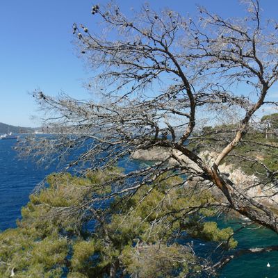 22 juin 2024 - Côté tourisme : Repos à Toulon