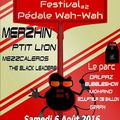 Ptit Li'on en Live au Festival Pédale Wah-wah 2ème édition le 6 août 2016 à St Méen le Grand (35) !!!!!!!!