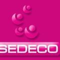 Services offshore : pourquoi opter pour SEDECO ?