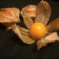 J'ai testé... les physalis...