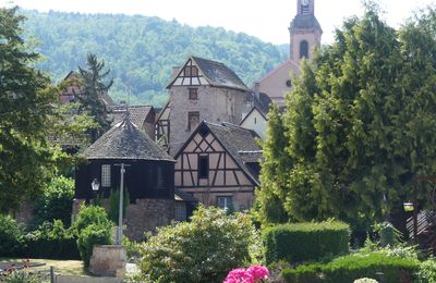 Séjour printanier en Alsace - Découverte du beau village typique de Riquewihr